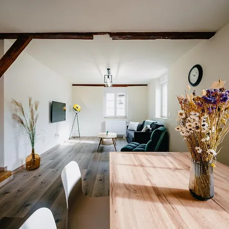 Les Charmes Apartment Boofzheim